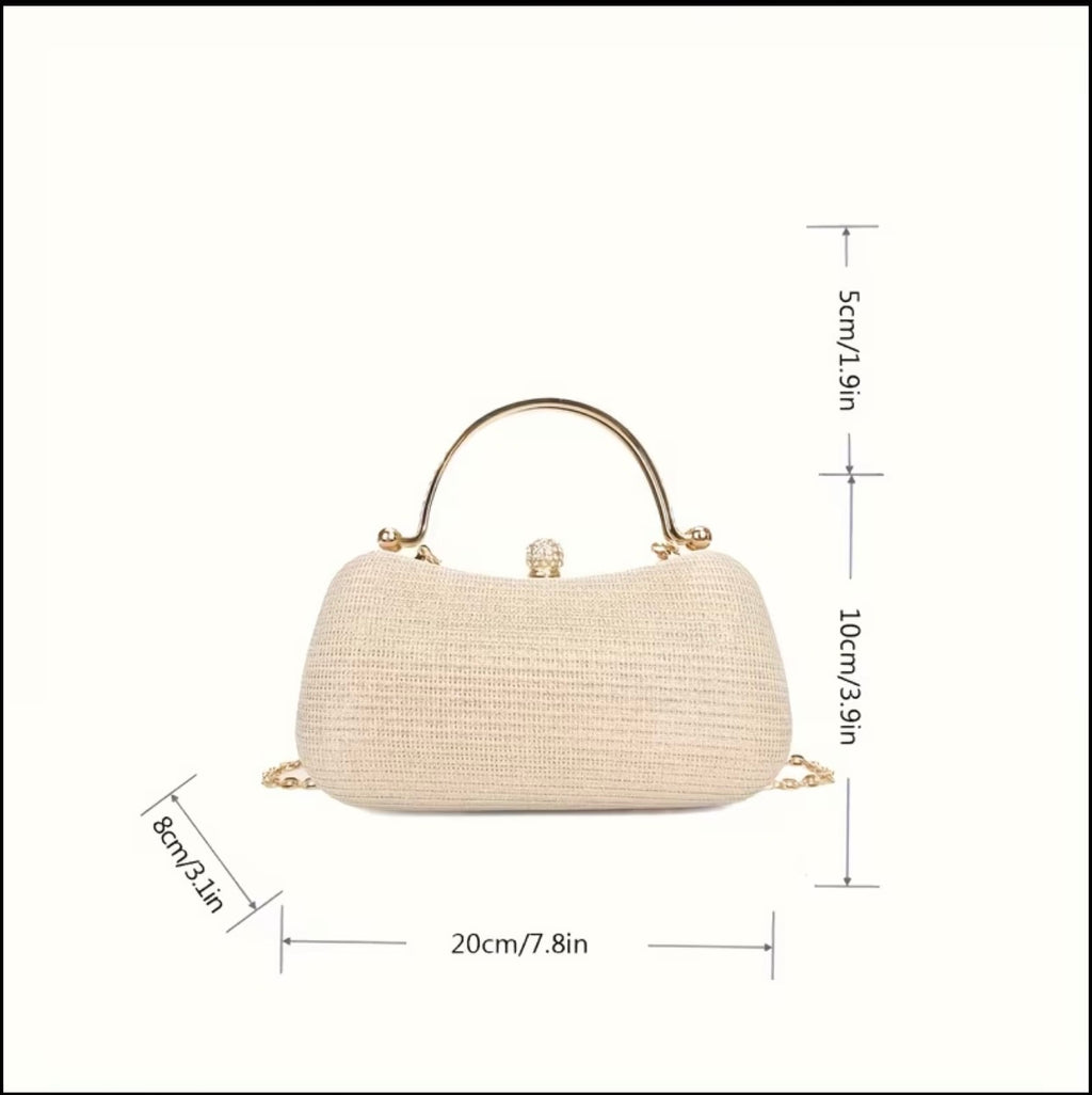 Champagne evening handbag with dimensions